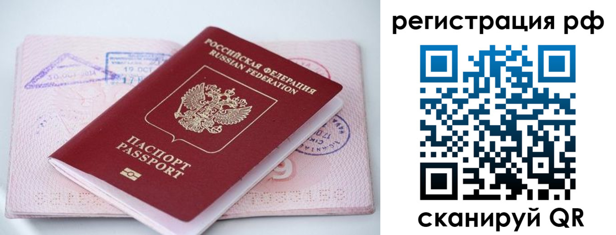 прописка штамп в Белгородской области